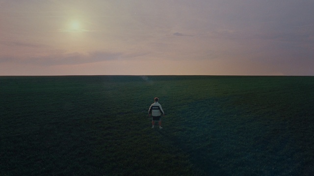 Video Reference: Cloud, Sky, Mammal, Grass, Grassland, Tree, Plain, Horizon, Landscape, Sand