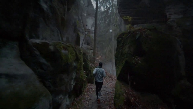 Video Reference: Plant, Bedrock, Formation, Shorts, Landscape, Outcrop, Forest, Recreation, Rock, Valley