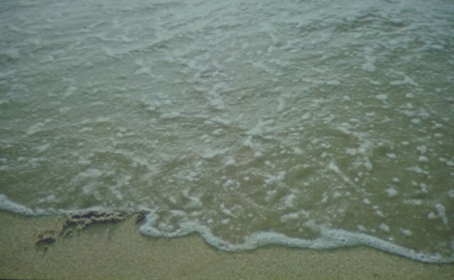 Video Reference: Water, Fluid, Beach, Coastal and oceanic landforms, Liquid, Wind wave, Lake, Foam, Sand, Wave