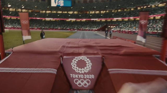 Video Reference: Grass, Sports, Stadium, Player, Landmark, Team sport, Competition event, Sport venue, Ball game, Tournament