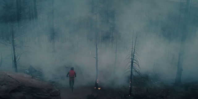 Video Reference: Cloud, Atmosphere, Fog, Nature, Sky, Tree, Plant, Pollution, Atmospheric phenomenon, Biome