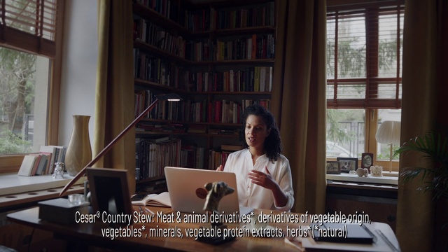 Video Reference: Property, Furniture, Bookcase, Computer, Laptop, Personal computer, Output device, Window, Interior design, Building