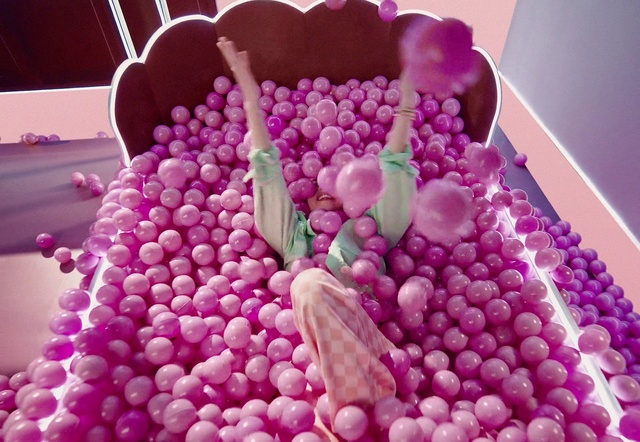 Video Reference: Plant, Purple, Textile, Natural foods, Pink, Petal, Magenta, Staple food, Food, Decoration