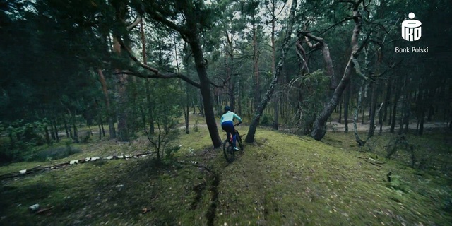 Video Reference: Plant, Tire, Sports equipment, Tree, Bicycle wheel, Terrestrial plant, Grass, Wood, Wheel, Natural landscape