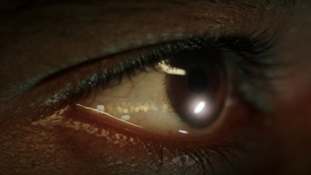 Video Reference: Brown, Eyelash, Iris, Tints and shades, Eye shadow, Macro photography, Electric blue, Cameras & optics, Makeover, Wrinkle