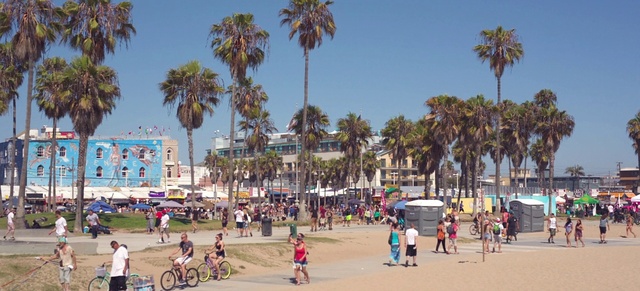 Video Reference: Sky, Plant, Building, Infrastructure, People on beach, Tree, Bicycle, Body of water, Arecales, Wheel