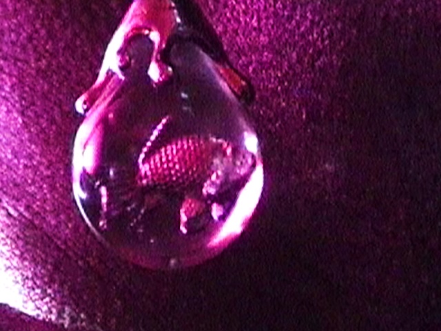 Video Reference: Purple, Violet, Magenta, Plant, Electric blue, Performing arts, Reptile, Event, Water, Entertainment