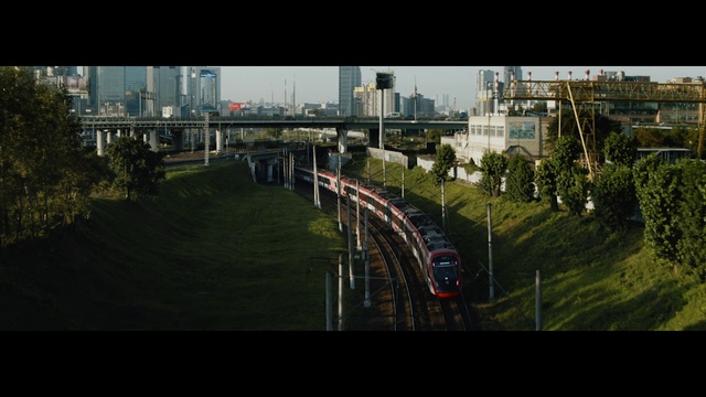 Video Reference: Building, Plant, Train, Tree, Sky, Rolling stock, Urban design, Thoroughfare, Railway, Track