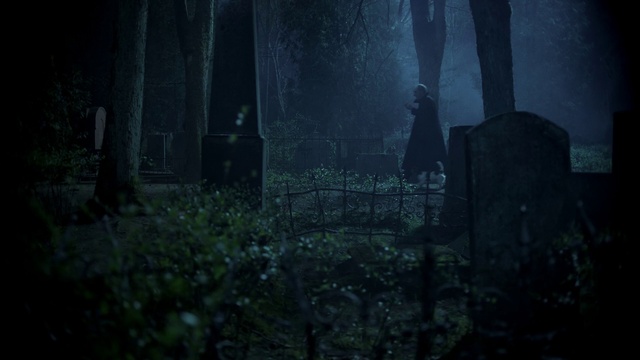 Video Reference: Plant, Atmosphere, Water, Wood, Grass, Natural landscape, Trunk, Landscape, Tints and shades, Haze