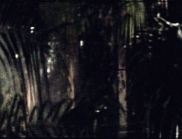 Video Reference: Tints and shades, Wood, Terrestrial plant, Forest, Twig, Electric blue, Darkness, Midnight, Trunk, Grass