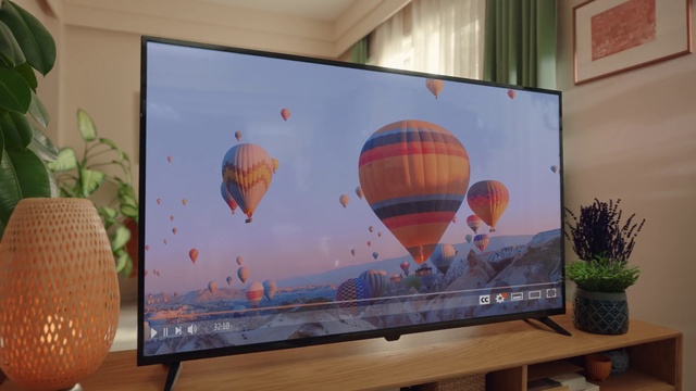 Video Reference: Aerostat, Plant, Hot air balloon, World, Hot air ballooning, Television, Balloon, Houseplant, Art, Air travel