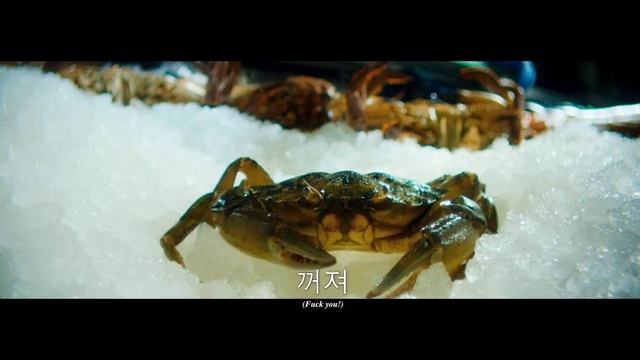 Video Reference: Arthropod, Organism, Crab, Seafood, Decapoda, Terrestrial animal, Crustacean, Electric blue, Marine biology, Shellfish