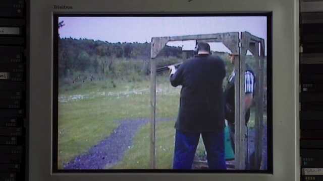 Video Reference: Sky, Television set, Display device, Electronic device, Multimedia, Plant, Technology, Flat panel display, Output device, Landscape