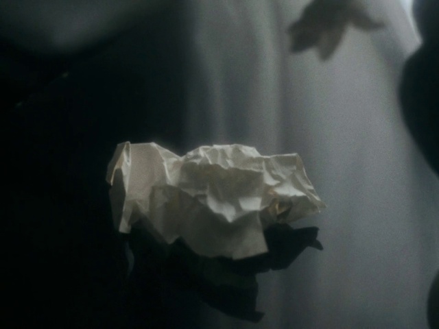 Video Reference: Petal, Sky, Grey, Tints and shades, Darkness, Rose family, Paper product, Plastic, Rose order, Paper