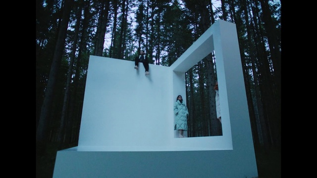 Video Reference: Tree, Wood, Rectangle, Tints and shades, Trunk, Art, Grass, Facade, Shade, Font