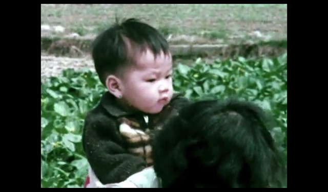 Video Reference: Smile, Plant, Gesture, People in nature, Happy, Grass, Terrestrial plant, Toddler, Baby, Fun