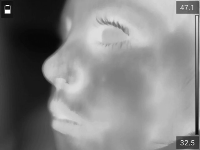 Video Reference: thermal, grayscale, face, profile, close-up, eye closed, nose, lips, eyelashes, human, side view, portrait, infrared, medical style
