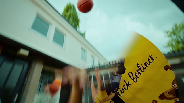 Video Reference: Daytime, Sky, Leaf, World, Orange, Yellow, Tree, Morning, Summer, Leisure