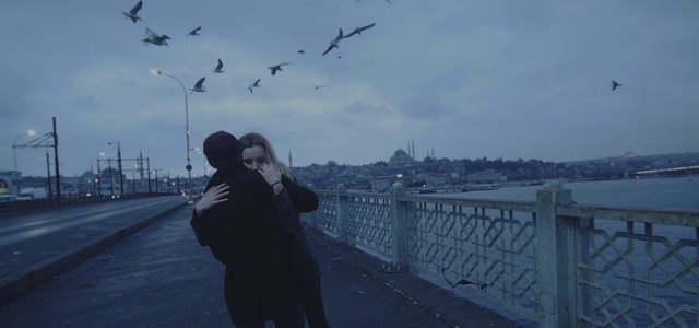 Video Reference: Cloud, Sky, Bird, Flash photography, Grey, Fence, Atmospheric phenomenon, Travel, City, Tree
