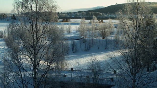 Video Reference: Sky, Water resources, Water, Cloud, Natural landscape, Tree, Branch, Sunlight, Freezing, Snow
