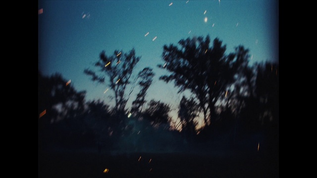 Video Reference: Atmosphere, Sky, Leaf, Natural environment, Window, Branch, Plant, Natural landscape, Vegetation, Sunlight