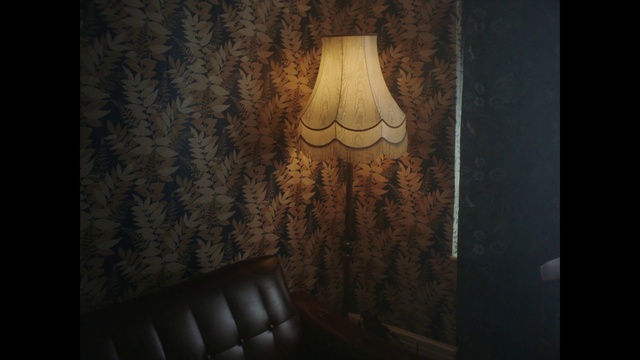 Video Reference: Lamp, Wood, Art, Picture frame, Tints and shades, Facial hair, Darkness, Shade, Ceiling, Lampshade