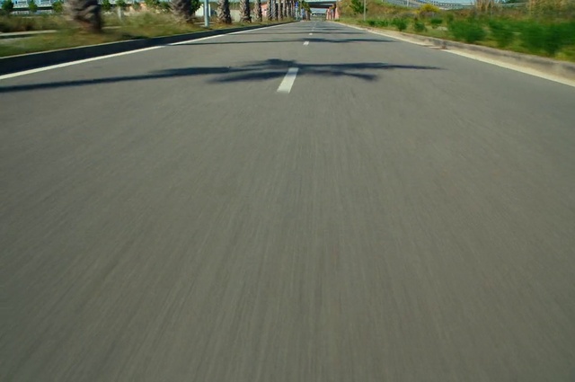 Video Reference: Plant, Road surface, Asphalt, Tree, Thoroughfare, Tar, Wood, Road, Composite material, Grass