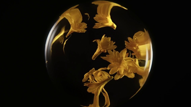 Video Reference: Amber, Font, Art, Circle, Darkness, Metal, Astronomical object, Fashion accessory, Macro photography, Event