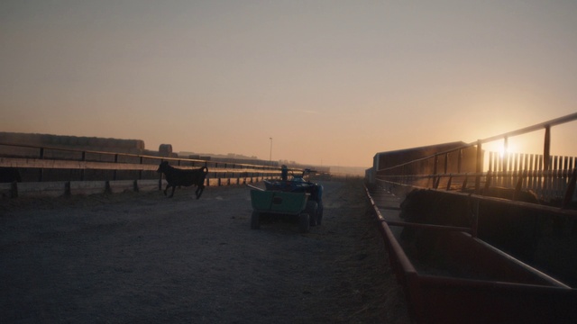 Video Reference: Sky, Dusk, Road surface, Sunset, Horizon, Tire, Landscape, Cloud, Sunrise, Working animal