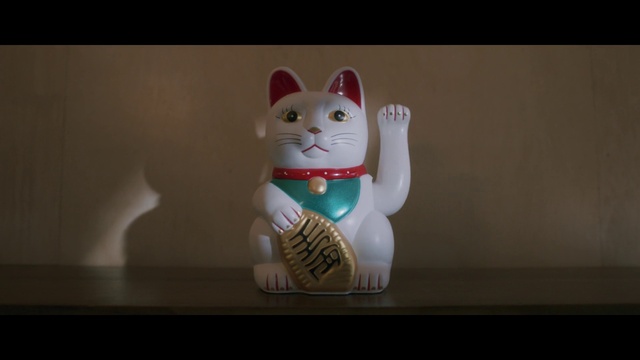 Video Reference: Cat, Felidae, Toy, Carnivore, Small to medium-sized cats, Whiskers, Fawn, Tail, Snout, Art