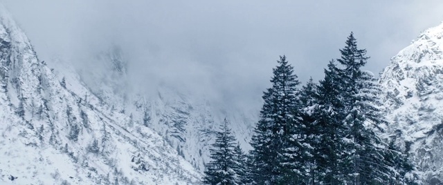 Video Reference: Plant, Sky, Cloud, Snow, Larch, Tree, Natural landscape, Atmospheric phenomenon, Slope, Freezing