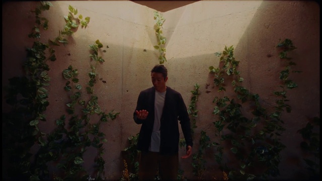 Video Reference: Plant, Shirt, Botany, Coat, Flash photography, Branch, Standing, Lighting, Gesture, Grass