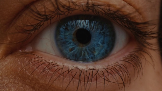 Video Reference: Photograph, Eye, Blue, Organ, Eyelash, Human body, Material property, Nerve, Electric blue, Close-up