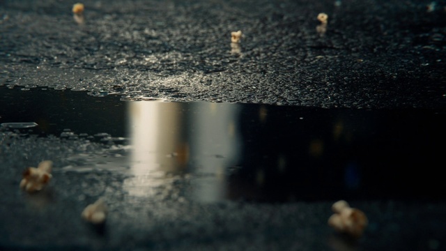Video Reference: Water, Atmosphere, Liquid, Road surface, Fluid, Asphalt, Sunlight, Atmospheric phenomenon, Morning, Wood