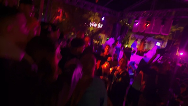 Video Reference: Purple, Entertainment, Violet, Plant, Pink, Music, Visual effect lighting, Music venue, Magenta, Fun