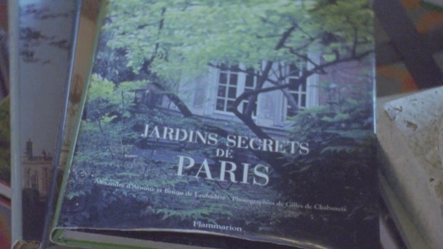 Video Reference: Property, Plant community, Natural environment, Botany, Vegetation, Plant, Window, Font, Woody plant, Grass