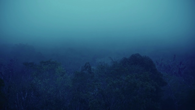 Video Reference: Water, Sky, Cloud, Plant, Underwater, Tree, Fog, Natural landscape, Landscape, Wood