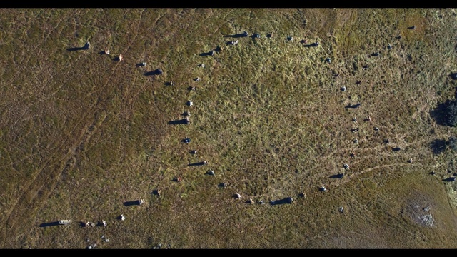 Video Reference: Grass, Circle, Map, Terrestrial plant, Soil, Landscape, Event, Font, Slope