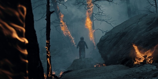 Video Reference: Ecoregion, Natural environment, Wood, Plant, Tree, Fire, Flame, Vegetation, Sunlight, Atmospheric phenomenon