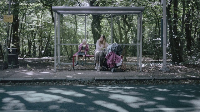 Video Reference: Plant, Botany, Tree, Road surface, Mammal, Leisure, Grass, Public space, Asphalt, Recreation