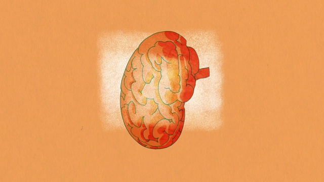 Video Reference: Wood, Tints and shades, Art, Blood vessel, Ceiling, Circle, Peach, Pattern, Brain, Human anatomy