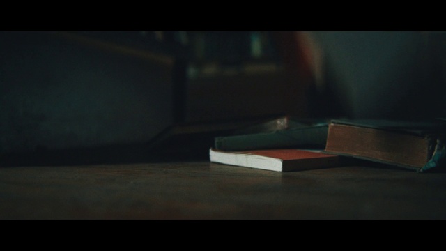 Video Reference: Wood, Tints and shades, Publication, Hardwood, Flooring, Darkness, Rectangle, Table, Art, Human leg