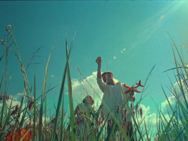 Video Reference: Plant, Sky, Azure, People in nature, Terrestrial plant, Vegetation, Gesture, Grass, Happy, Agriculture