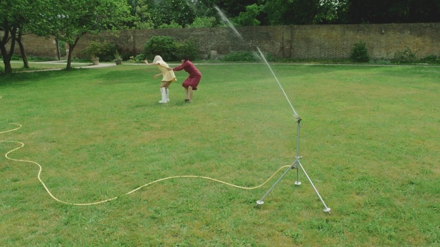 Video Reference: Plant, Playing sports, Hoop (rhythmic gymnastics), Tree, Grass, Recreation, People in nature, Grassland, Grass family, Lawn