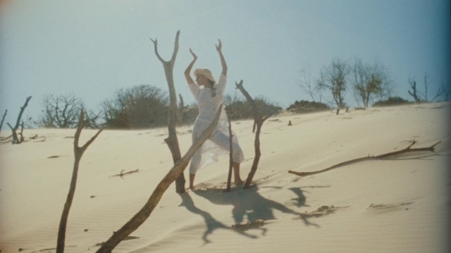 Video Reference: Sky, Ecoregion, Tree, Wood, Gesture, Plant, Twig, Trunk, Landscape, Tints and shades