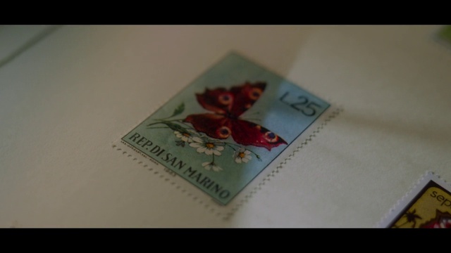 Video Reference: Plant, Rectangle, Creative arts, Petal, Font, Pattern, Natural material, Paper, Paper product, Carmine