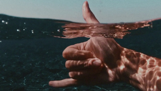 Video Reference: Water, Sky, Gesture, Finger, Underwater, Thumb, Bird, Wing, Happy, Nail