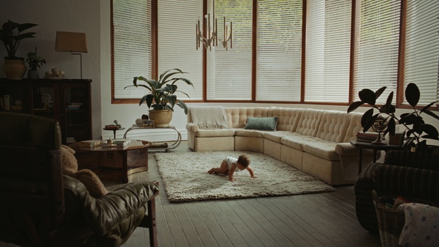 Video Reference: Brown, Couch, Plant, Window, Window blind, Comfort, Houseplant, Table, Wood, Interior design