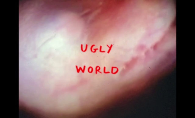 Video Reference: Atmosphere, Human body, Jaw, Font, Atmospheric phenomenon, Astronomical object, Rectangle, Cloud, Darkness, Magenta