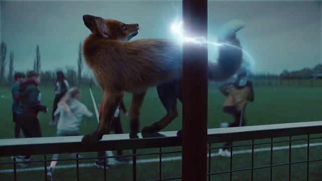 Video Reference: Fence, Fawn, Terrestrial animal, Llama, Grass, Tail, Alpaca, Wildlife, Event, Dog breed